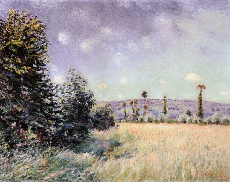 Alfred Sisley Sahurs Meadows in the Morning Sun Norge oil painting art